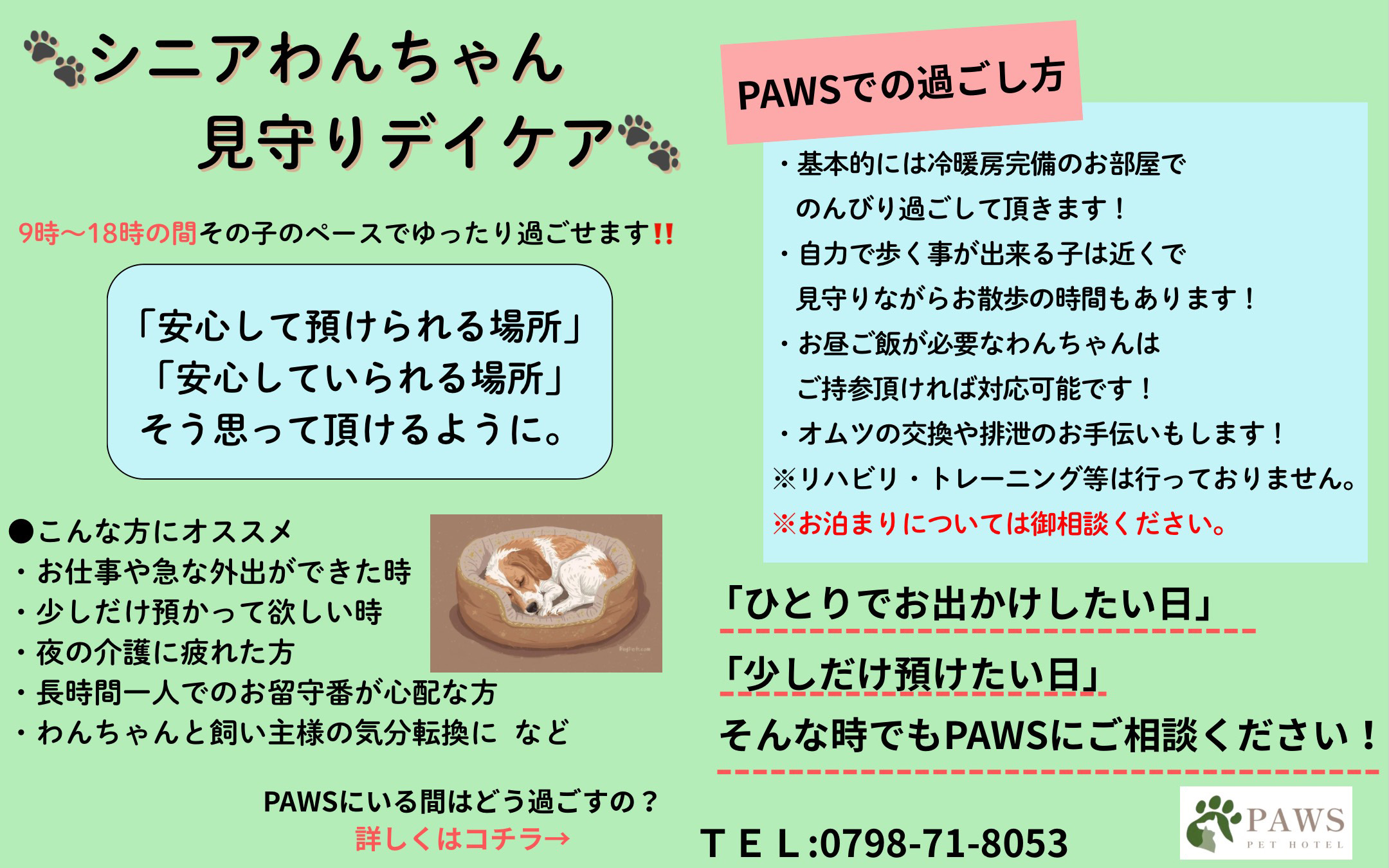 シニアわんちゃん 見守りデイケア