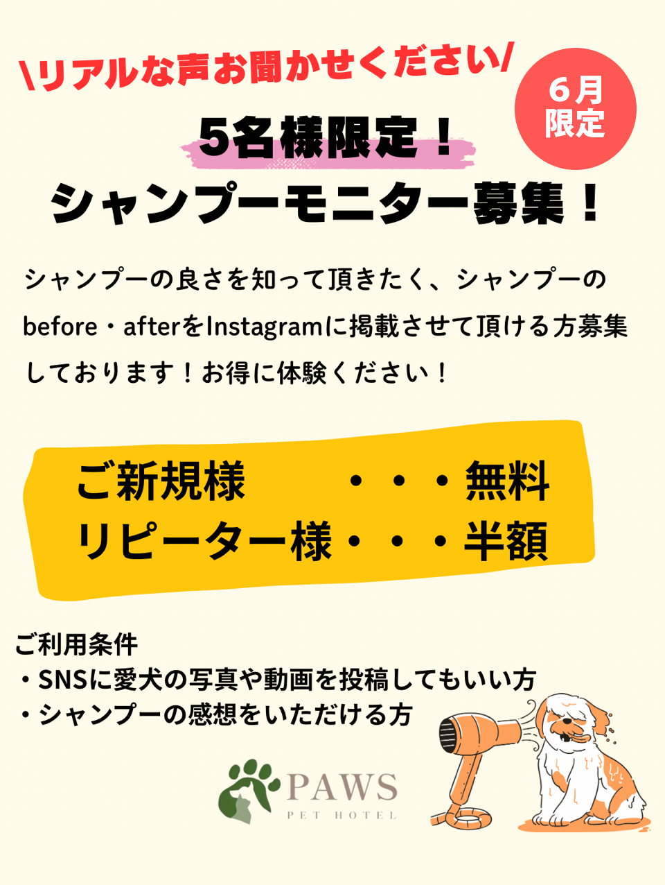 6月限定 シャンプーモニター募集のお知らせ