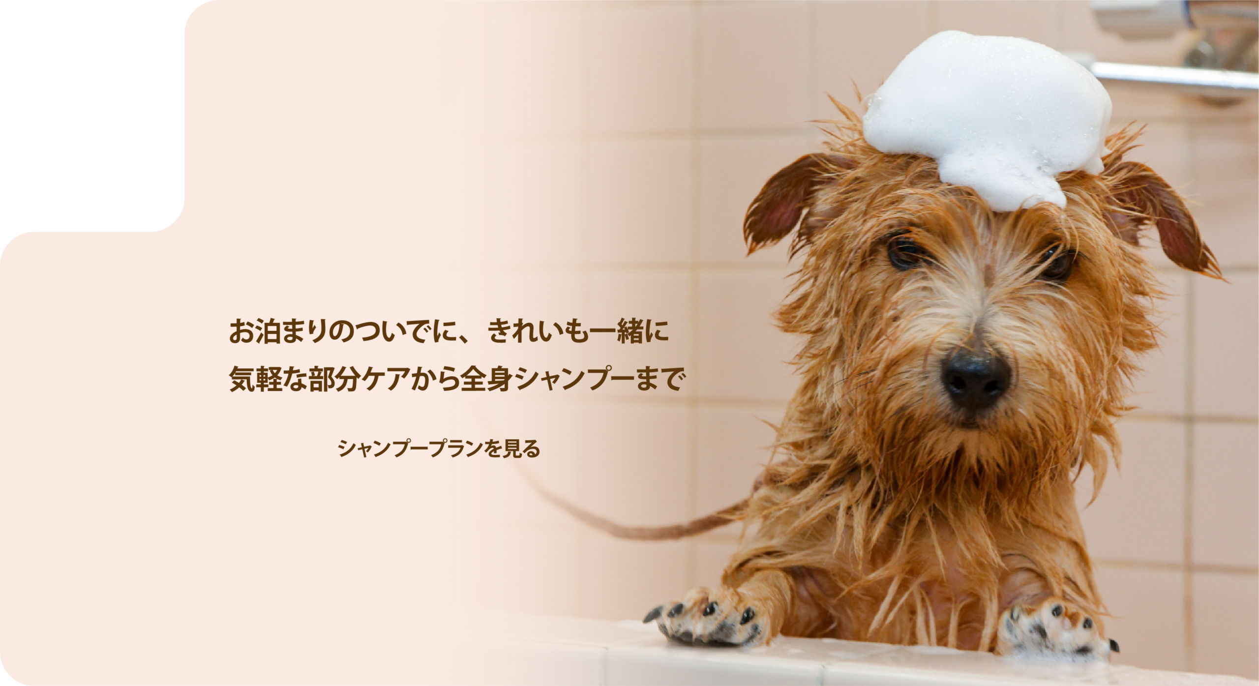 お泊りのついでに、きれいも一緒に 気軽な部分ケアから全身シャンプーまで