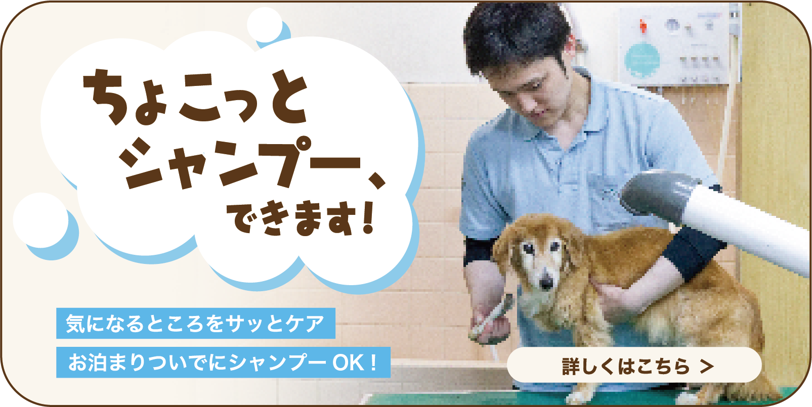 ちょこっとシャンプー、できます！ 気になるところをさっとケア お泊りついでにシャンプーOK！
