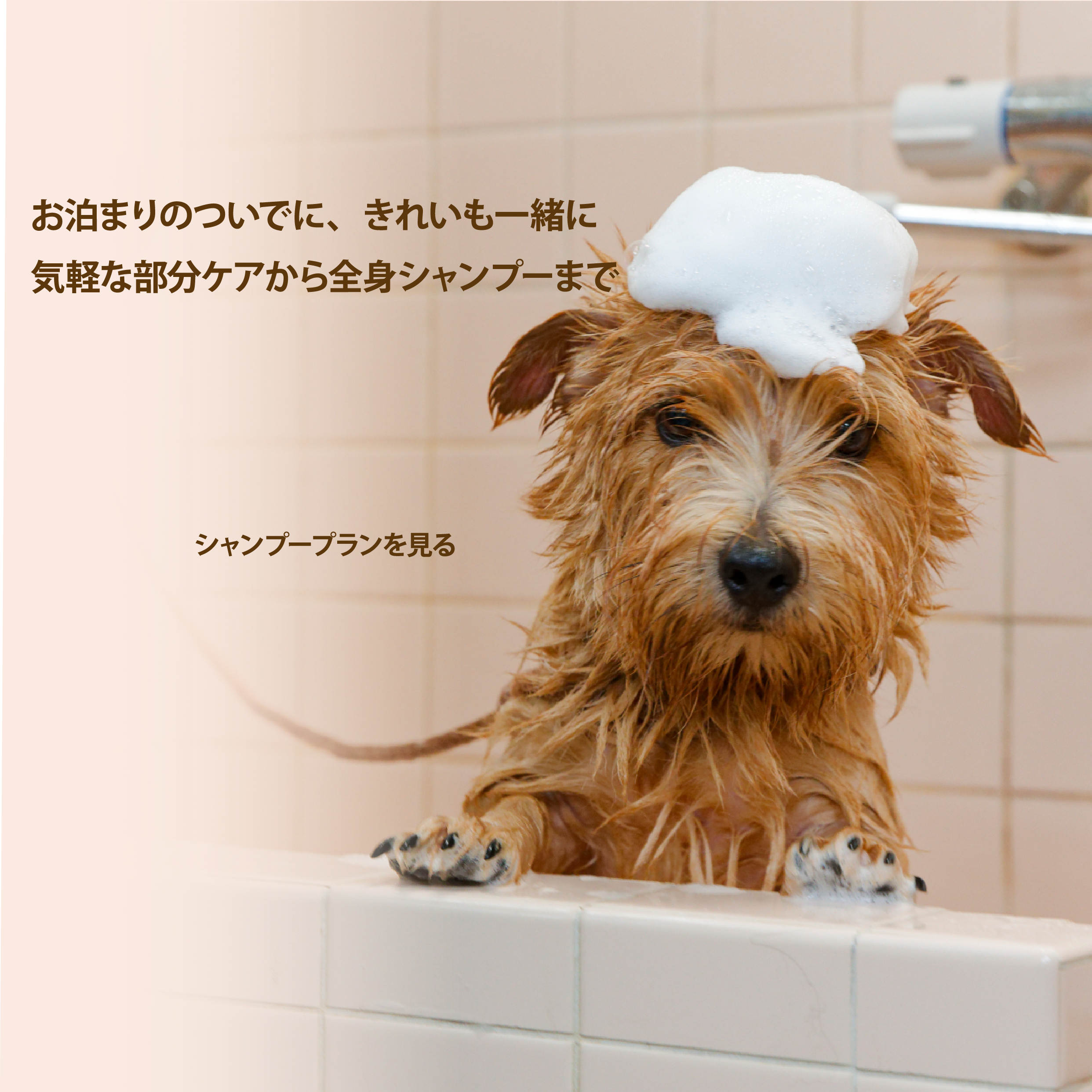 お泊りのついでに、きれいも一緒に 気軽な部分ケアから全身シャンプーまで