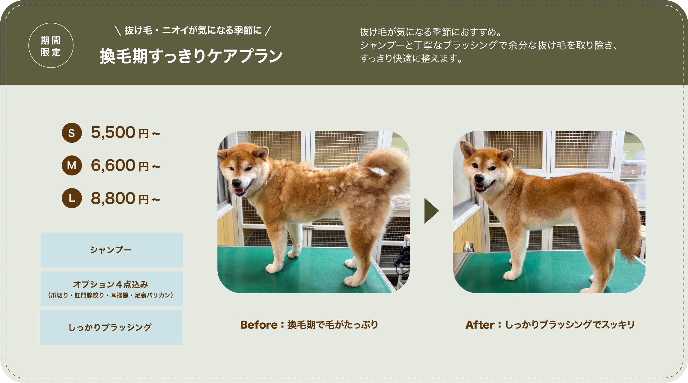 西宮市・尼崎市でペットシャンプー「換毛期すっきりプラン抜け毛が気になる季節におすすめ。シャンプーと丁寧な
ブラッシングで余分な抜け毛を鳥除き、すっきり快適に整えます。