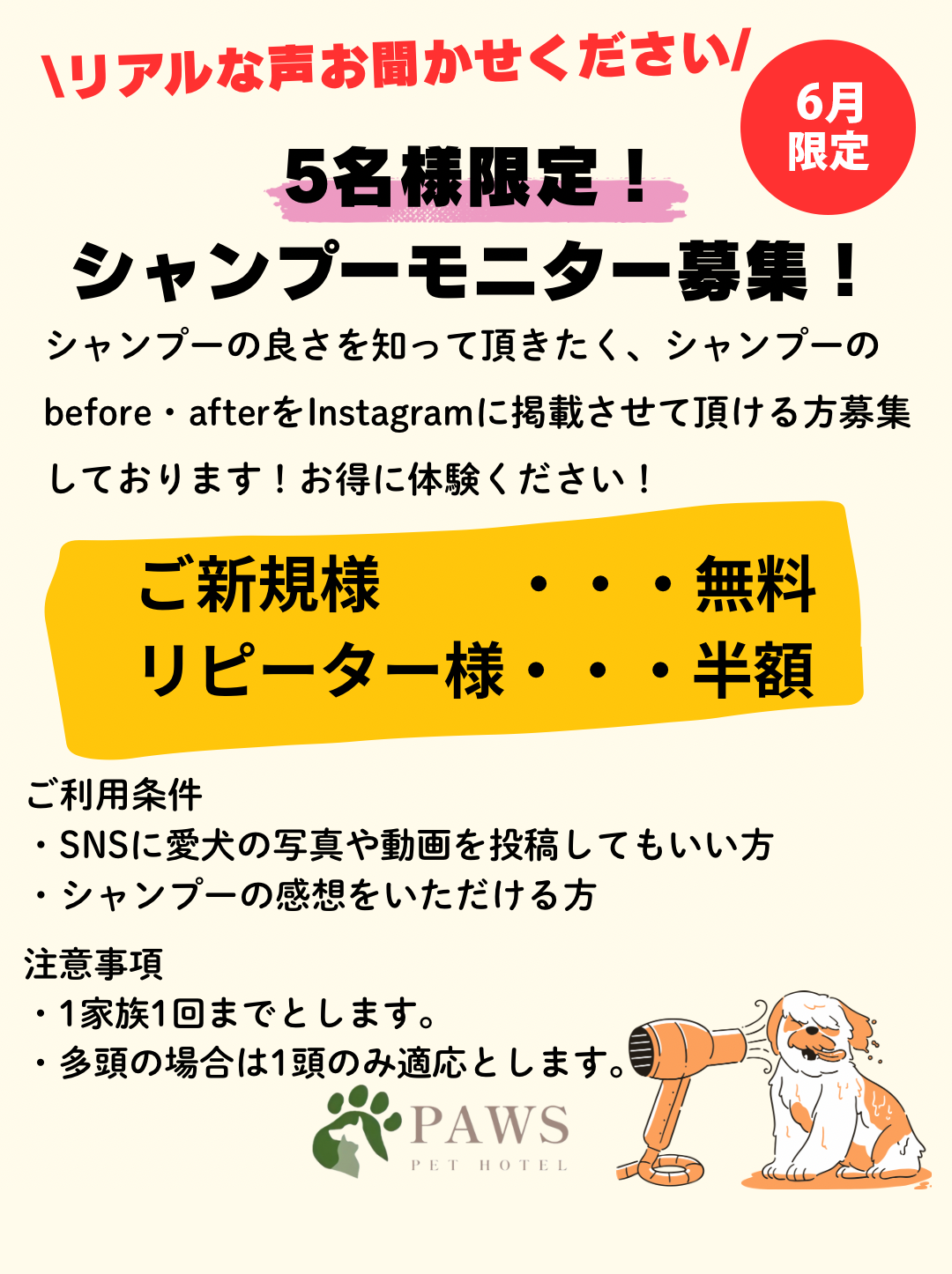 6月限定 シャンプーモニター募集のお知らせ