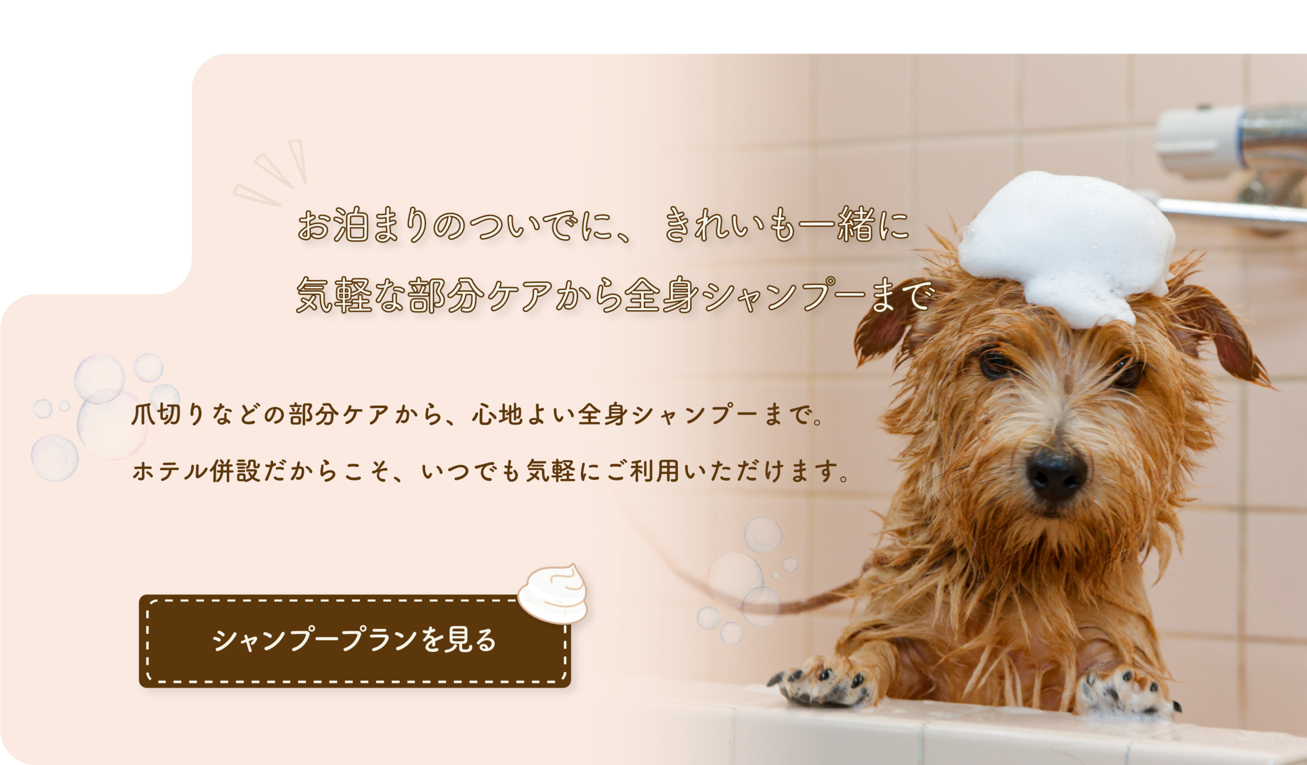 お泊りのついでに、きれいも一緒に 気軽な部分ケアから全身シャンプーまで