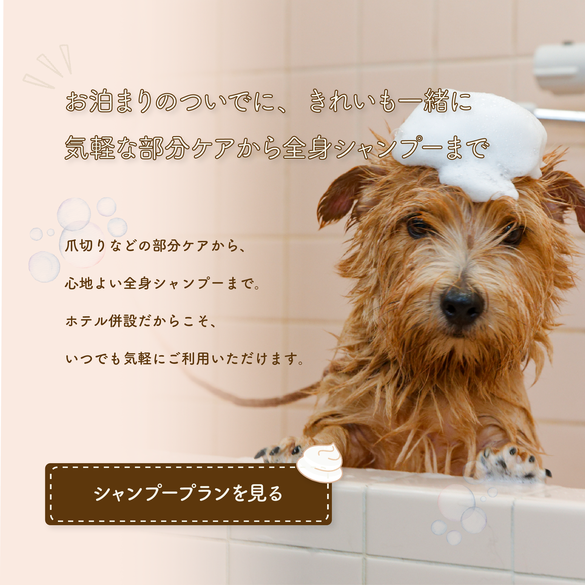 お泊りのついでに、きれいも一緒に 気軽な部分ケアから全身シャンプーまで