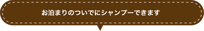 西宮・尼崎ペットホテルpawsでは「お泊りのついでにシャンプーできます」